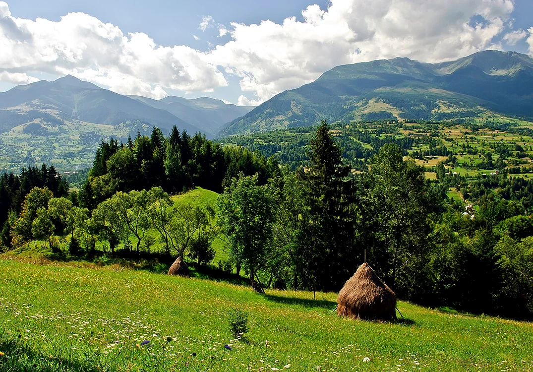 Imagine din rezervație / foto: Wikipedia