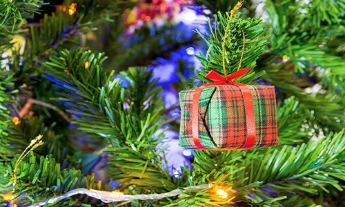 1 76135 original jpg jpeg