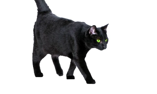 1 46702 original jpg jpeg