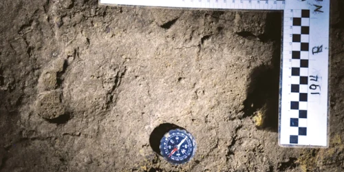 urme pestera romania foto sciencenews