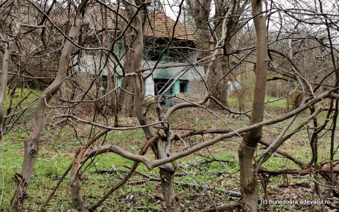 gialacuta satul pustiu din muntii metaliferi foto daniel guta adevarul