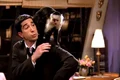 David Schwimmer  jpeg