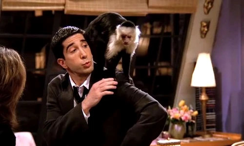 David Schwimmer  jpeg