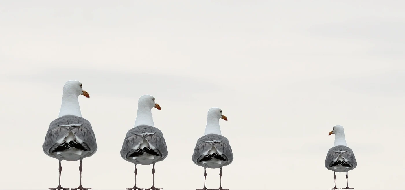 
    Horoscop zilnic 30 septembrie 2019: Racii se simt judecaţifoto: Pixabay  