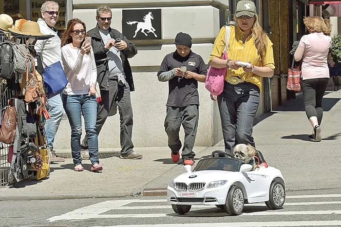 Stăpâna mânuieşte automobilul prin telecomandă