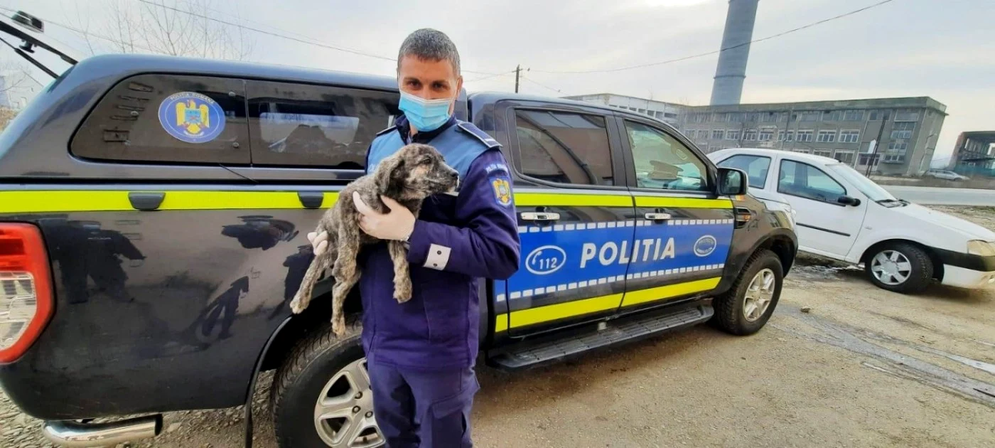 Poliştii gorjeni au dus aproximativ 300 de kilograme de hrană pentru maidanezi Foto: Poliţia Gorj