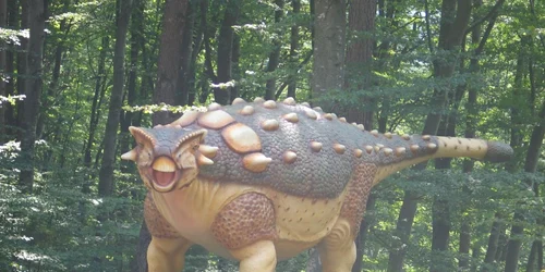 Primii dinozauri au ajuns la Râşnov. FOTOfacebook
