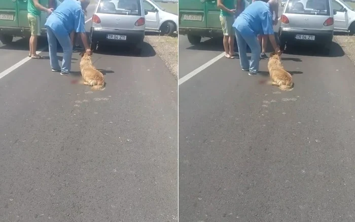 Captură video SURSA VIDEO: Facebook Ştefan Soare