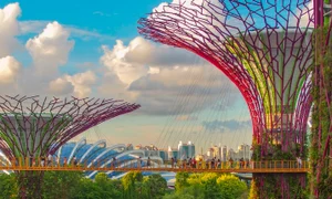 1 singapore jpg jpeg