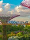 1 singapore jpg jpeg
