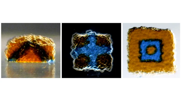 noul material este integral sintetic, fără genom şi fără capacităţi de replicare FOTO Gizmodo