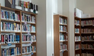 O scurtă istorie europeană a literaturii române jpeg