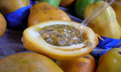 1 83959 original jpg jpeg