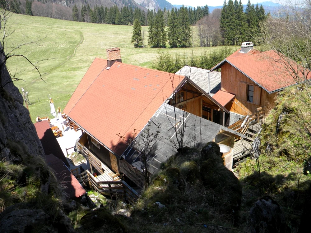 poiana regala foto dana mihai