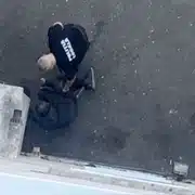 cluj gif gif