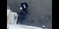 cluj gif gif