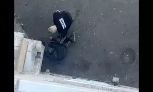 cluj gif gif