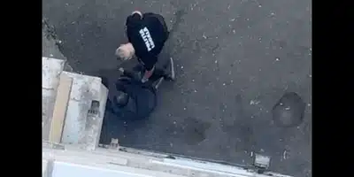 cluj gif gif