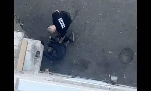 cluj gif gif