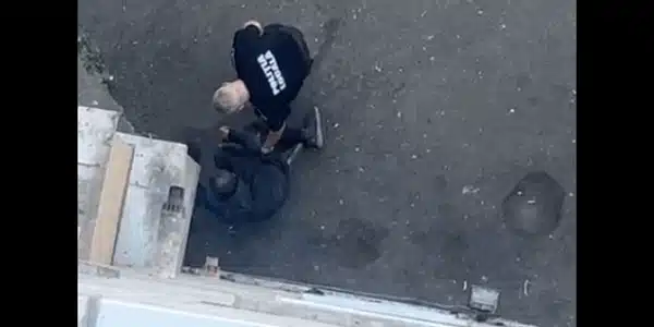 cluj gif gif