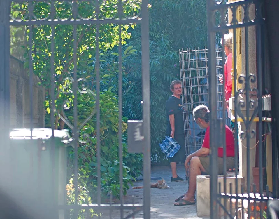 Doina Maximilian  s-a mutat în casa Stelei  la câteva luni după  decesul acesteia