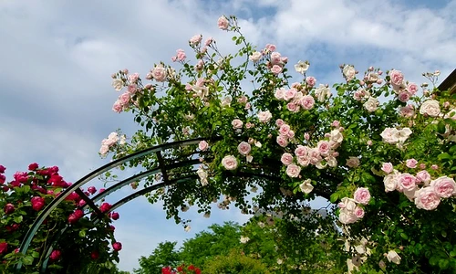 1 68921 original jpg jpeg