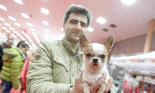 Căţeluşa Chili ne a privit încruntată, după spectacol jpeg