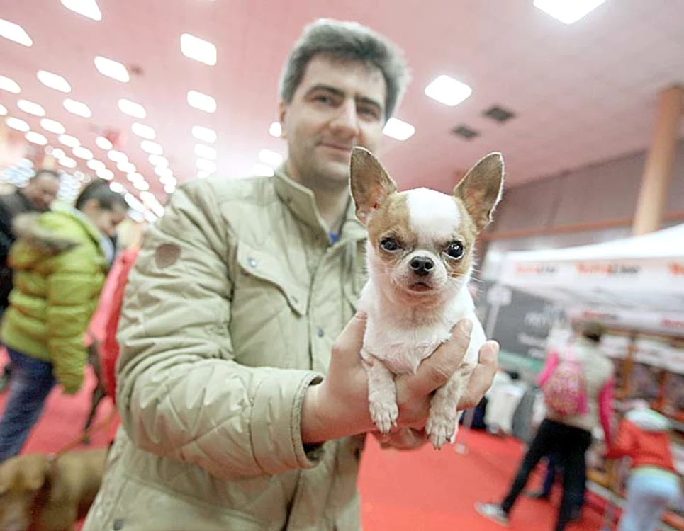 Căţeluşa Chili ne-a privit încruntată, după spectacol