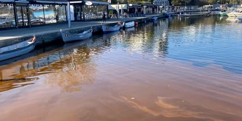 Fenomen spectaculos Marea neagra foto garda de mediu