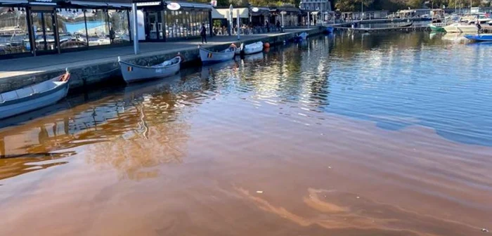 Apa mării, colorată FOTO Garda de Mediu