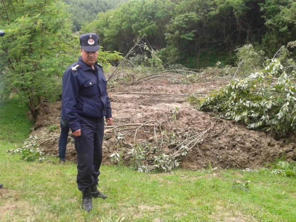 
    Un întreg deal a luat-o la valeFoto: desteptarea.ro  