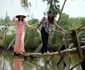 Podul Maimuţelor din Vietnam este făcut din bucăţi întregi de bambus  jpeg