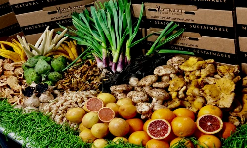 1 81057 original jpg jpeg