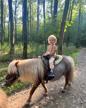 Mihai, fiul lui Nicolae al României și al Alinei de Roumanie 