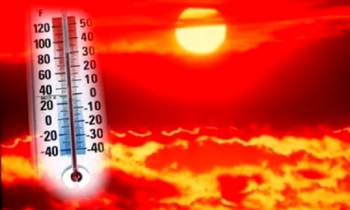 Ce este bine să faci pe timp de caniculă  Reguli de aur de la specialişti jpeg