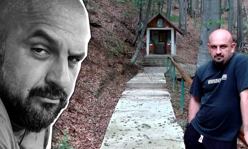 cub alin gălățescu png