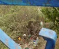 Mizerie de nedescris în zona Falezei Dunării de la Galaţi FOTO Costel Crângan