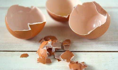 1 69461 original jpg jpeg