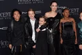 Angelina Jolie si copiii jpg