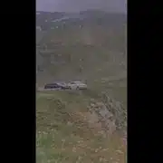 transfa gif gif