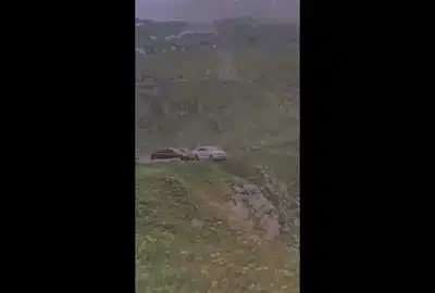 transfa gif gif