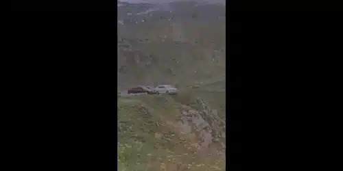 transfa gif gif