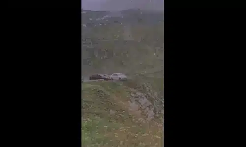 transfa gif gif