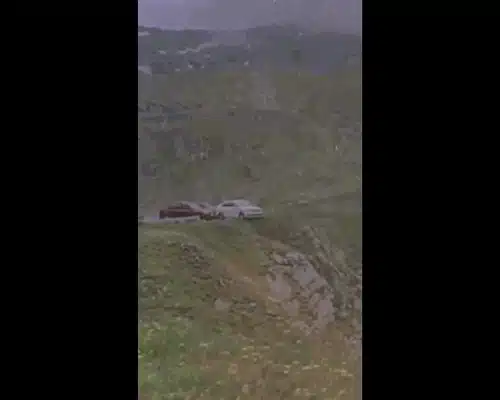 transfa gif gif