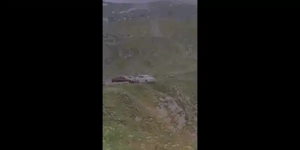 transfa gif gif