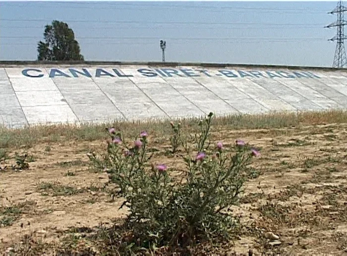 De când au fost abandonate lucrările, canalul a fost năpădit de buruieni. FOTO Ştefan Borcea