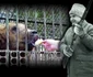 Ceauseşcu a pus ochii la Lache pentru că era cel mai mare urs din România. 