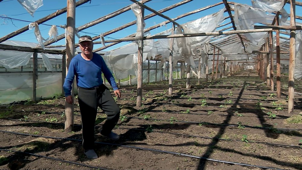 Zeci de solarii, distruse de vânt. Pagube mari într-un bazin legumicol al Munteniei VIDEO