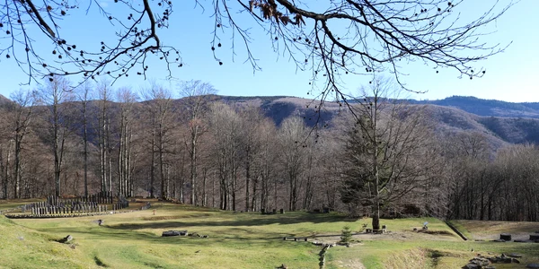 Sarmizegetusa Regia, solstitiu de iarnă  Foto Daniel Guță  ADEVĂRUL (14) JPG