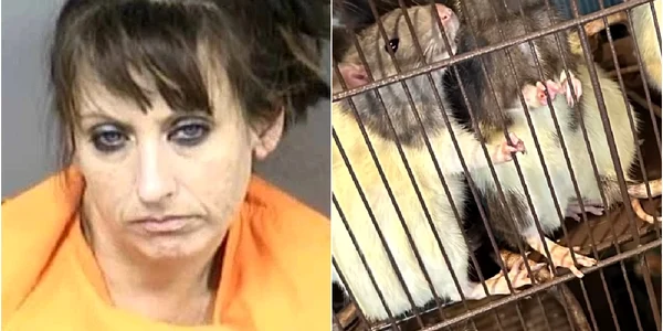 O femeie din Florida își creștea copilul în condiții insalubre, cu 300 de șobolani și alte animale Foto: Captură video